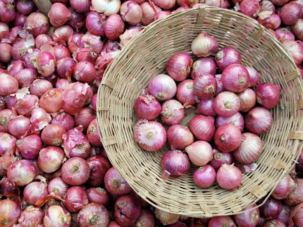 how-to-shop-and-store-onion