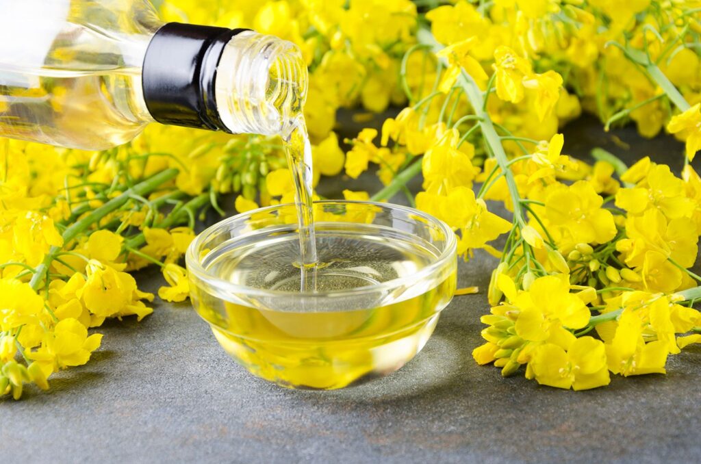 canola-oil-and-canola-blossoms