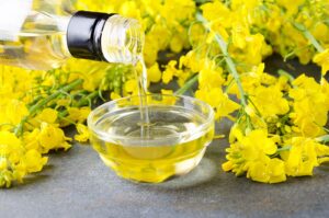 canola-oil-and-canola-blossoms