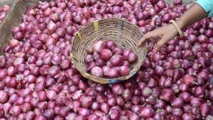 onion