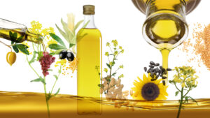 sunfloweroil-is-safe