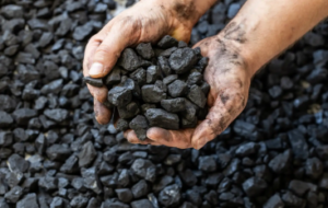 1704526391_EjWIl8_coal