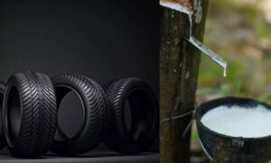 images (2) (14)