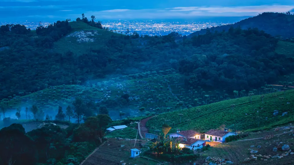 nilgiris-1657463286_87ba8648c266fa0031c3