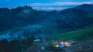 nilgiris-1657463286_87ba8648c266fa0031c3