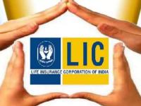 26lic