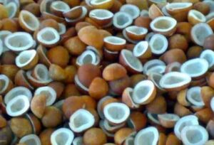 dried-copra-751130-500x500