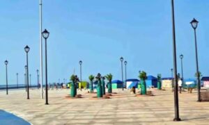 images (3) (15)
