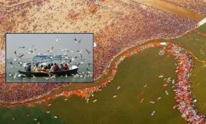 1521464-international-bird-festival
