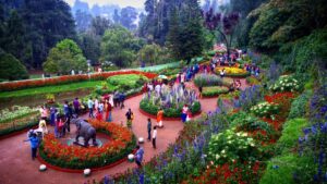 Ooty-Flower-Show-2025