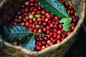coffee1