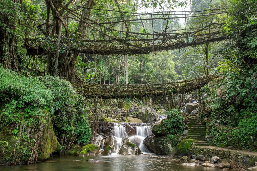 01_IndiaAdventuresInMeghalaya__CrossingADouble-DeckerLivingRootBridge_1-shutterstock_1069408832