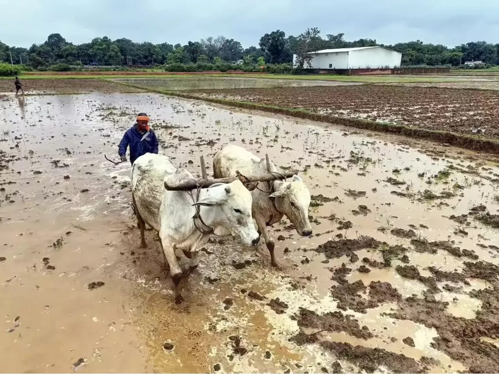 1600x1200_1352385-climate-change-farmers-need-75-billion-in-investment-gfx