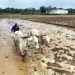 1600x1200_1352385-climate-change-farmers-need-75-billion-in-investment-gfx