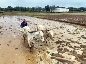 1600x1200_1352385-climate-change-farmers-need-75-billion-in-investment-gfx