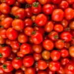 engin-akyurt-HrCatSbULFY-unsplash-scaled