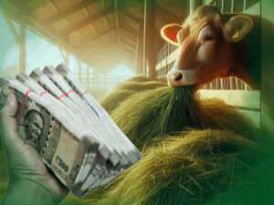 Emergency-assistance-granted-to-dairy-farmers-in-Wayanad-district