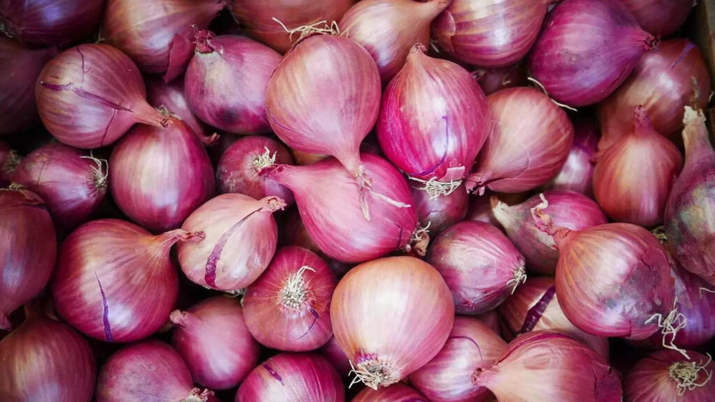 onion