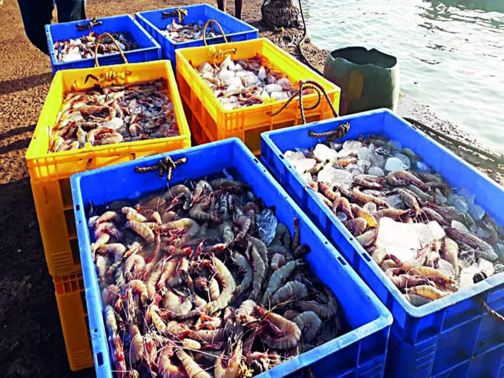 seafood-exporters-may-have-to-absorb-levy-hike