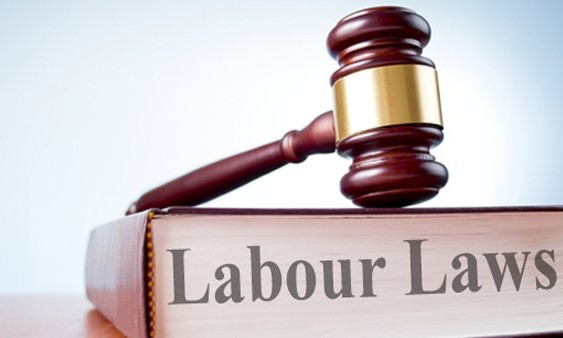 labour_law-563x338